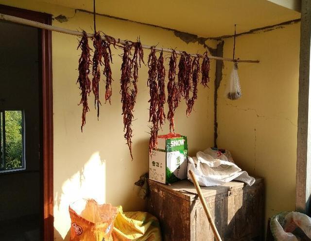 　男朋友說家里有一棟小別墅。當(dāng)一家人去看時，他們的父母當(dāng)場受不了。