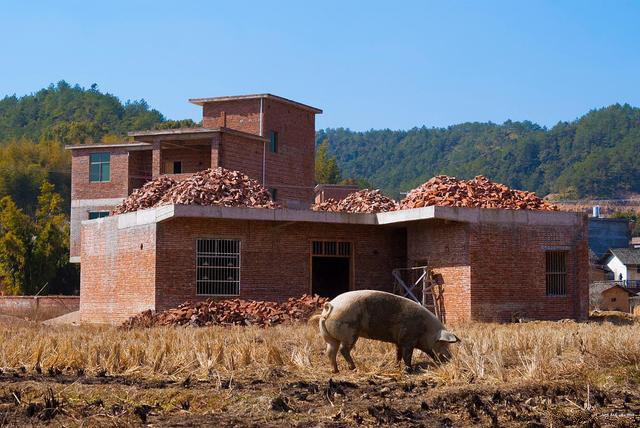 自己家蓋房子時，花錢又多，蓋得又難看，這到底是怎么回事呢？讓同村人笑話！