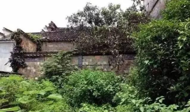 在鄉(xiāng)下買一棟閑置的舊房子進行翻新，并在復活后將其改造成住宅和別墅,也是好的一筆投資