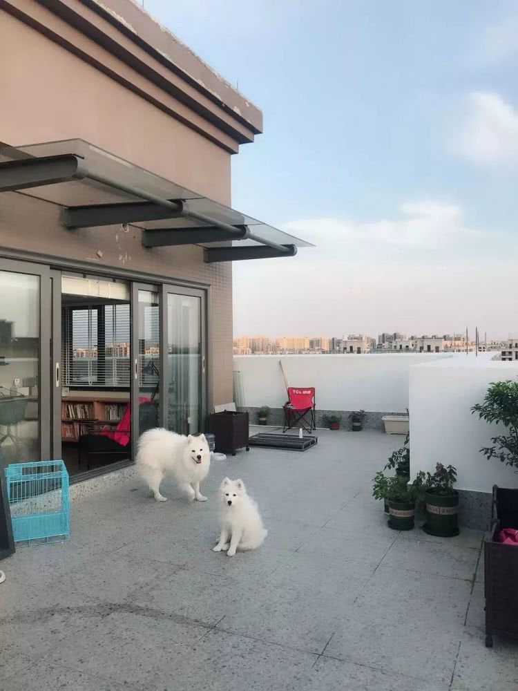 今天分享的是一套一樓建筑面積140平米的北歐風(fēng)三居室案例，房子位于頂層，是個(gè)躍層的戶型，二樓還有一個(gè)開(kāi)放式的休閑區(qū)和大露臺(tái)，讓人羨慕不已。