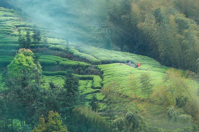 時(shí)光靜好，現(xiàn)世安穩(wěn)”，透出很多在農(nóng)村寧靜恬淡的生活態(tài)度，不愿置身于世俗的利欲之中，這樣一棟別墅滿足你！