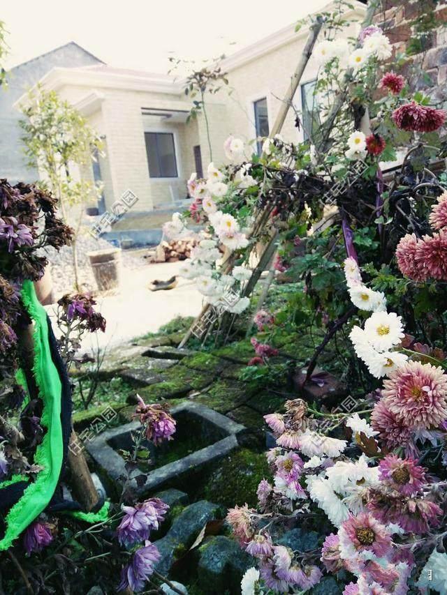 二三層的小洋樓的確很好看，但并不是說它就適合每個(gè)家庭建造。對(duì)于宅基地適中，家中人口又不是很多的家庭，建個(gè)一層的小平房就很好。