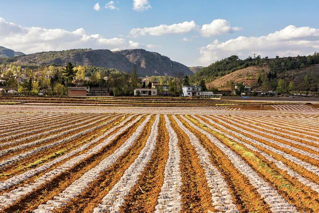 這座兩層別墅的寬度不到8米，有四個房間和一個大廳，適合農(nóng)村地區(qū)的年輕人自己建造。你喜歡嗎