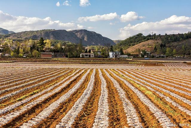 　這座兩層別墅的寬度不到8米，有四個(gè)房間和一個(gè)大廳，適合農(nóng)村地區(qū)的年輕人自己建造。你喜歡嗎