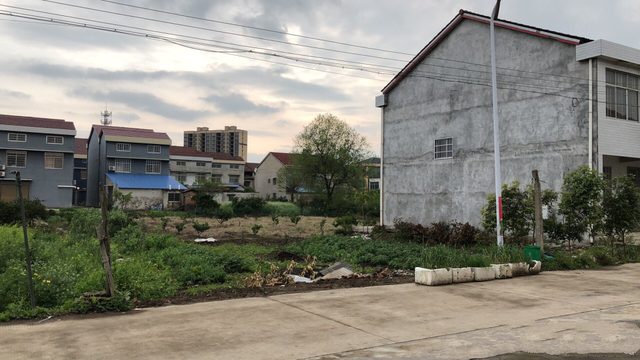 設(shè)計的主體是經(jīng)典的歐式外觀。大理石外墻與藍(lán)色坡屋頂相匹配，給人一種體面的感覺。增加幾層分散的陽臺和露臺，產(chǎn)生鋸齒狀的美感。