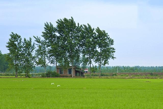 　優(yōu)雅的歐式三層自建別墅，優(yōu)雅的風(fēng)格，時尚的設(shè)計，一排排落地玻璃窗給整個別墅增添了神秘。