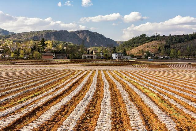這座兩層別墅的寬度不到8米，有四個房間和一個大廳，適合農(nóng)村地區(qū)的年輕人自己建造。你喜歡嗎