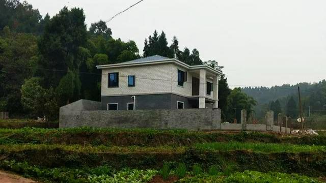 有結(jié)構(gòu)圖和中國(guó)裝飾圖