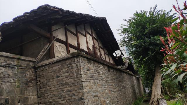 有結(jié)構(gòu)圖和中國(guó)裝飾圖