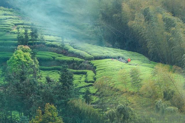 11.3 m  x8.5 m新型現(xiàn)代農(nóng)村自建建筑設(shè)計