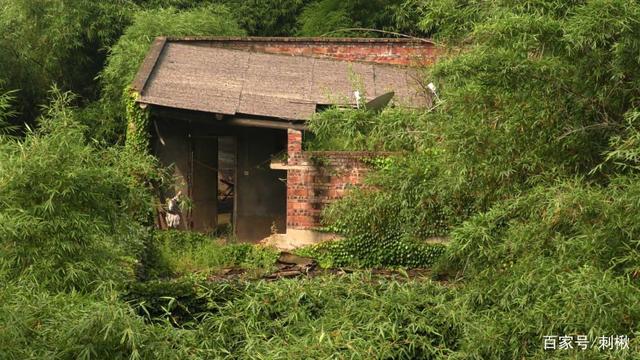 　農(nóng)村的自營(yíng)住宅