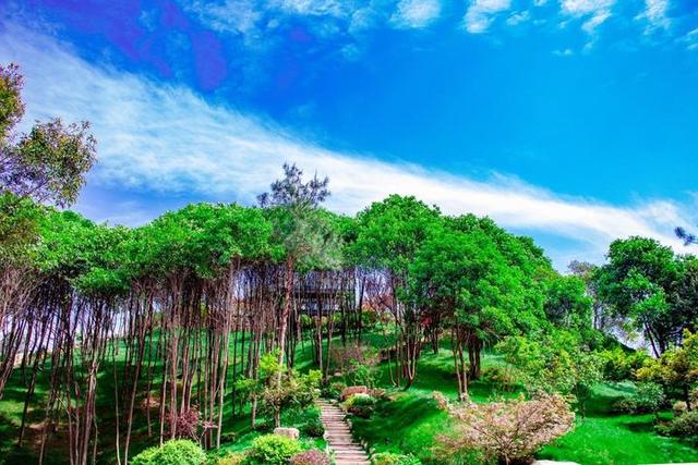 花園別墅設(shè)計